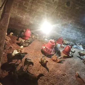 Original Tiger Chicken