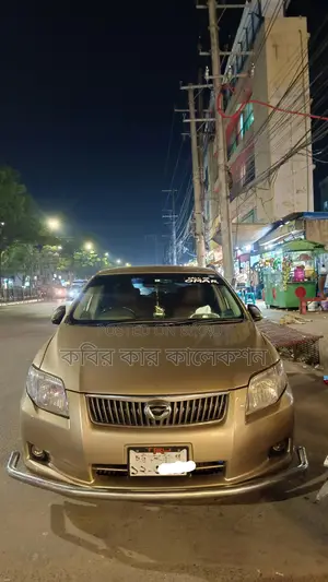 Toyota Axio golden 2007