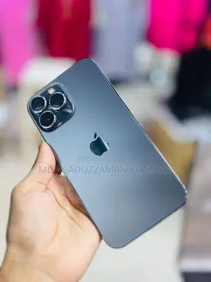 Apple iPhone 13 Pro Max (Used)