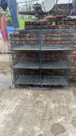 ছয় খোপের খাচা