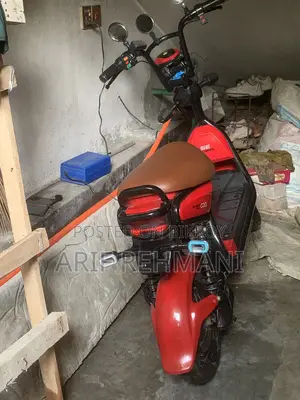 Vip Rider E bike 2025