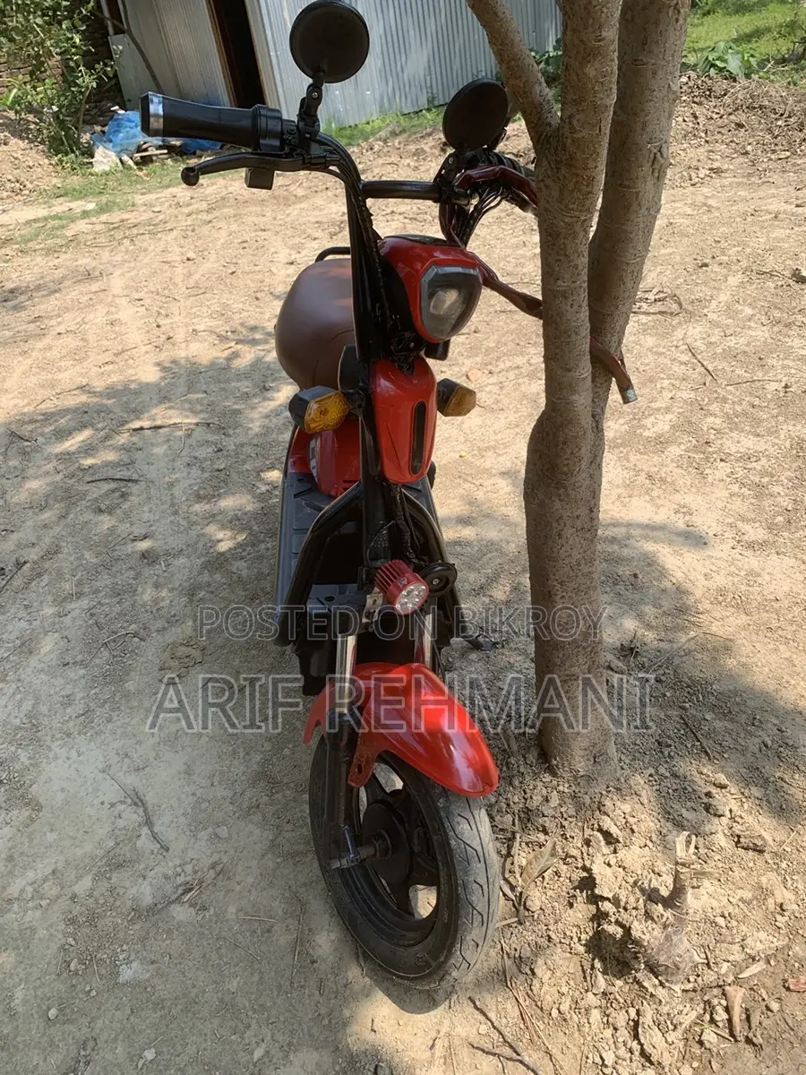 Vip Rider E bike 2025