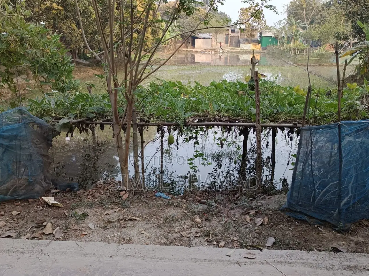 Land for sale, roadside, good location
