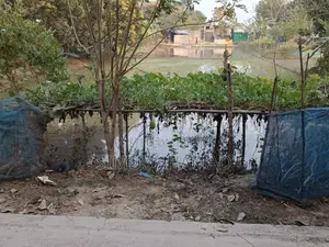 জমি বিক্রয়, রাস্তার পাশে, ভালো লোকেশন