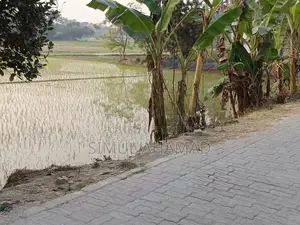 জমি বিক্রয়, রাস্তার পাশে, ভালো লোকেশন