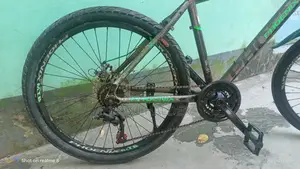 Gear Bicycle Aluminum Body