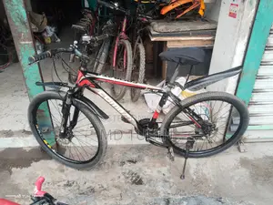 Bicycle for sale