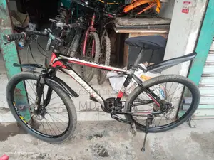 Bicycle for sale