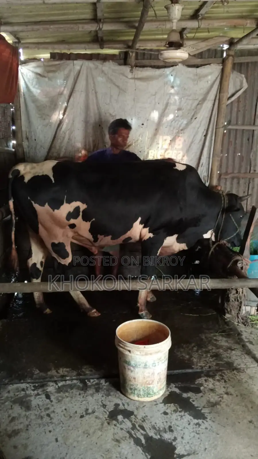 আমাদের কাছে এগুলো ন্যাচারাল এবং ফরমালিন মুক্ত