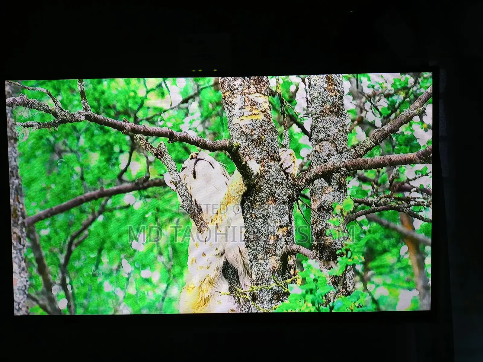 একটি জরুরী ভিত্তিতে টেলিভিশন বিক্রয় করা হবে। 32" স্মার্ট টিভি ভিশন