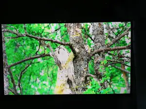 একটি জরুরী ভিত্তিতে টেলিভিশন বিক্রয় করা হবে। 32" স্মার্ট টিভি ভিশন