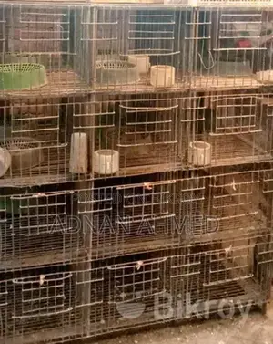 24-Compartment Iron Cage for Sale