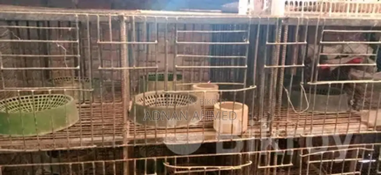 24-Compartment Iron Cage for Sale