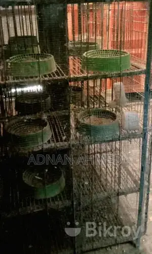 24-Compartment Iron Cage for Sale