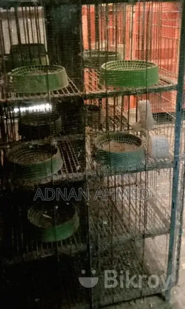 24-Compartment Iron Cage for Sale
