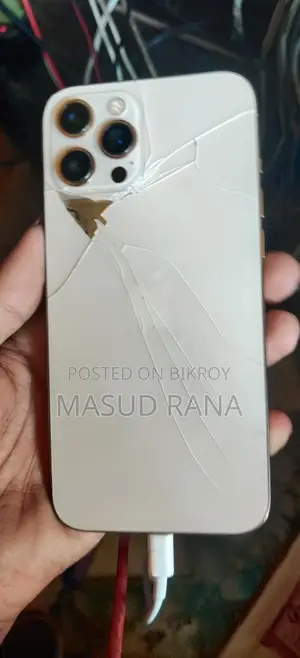 Apple iPhone 12 Pro Max (Used)