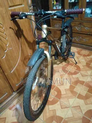 High-Quality Gear Cycle
