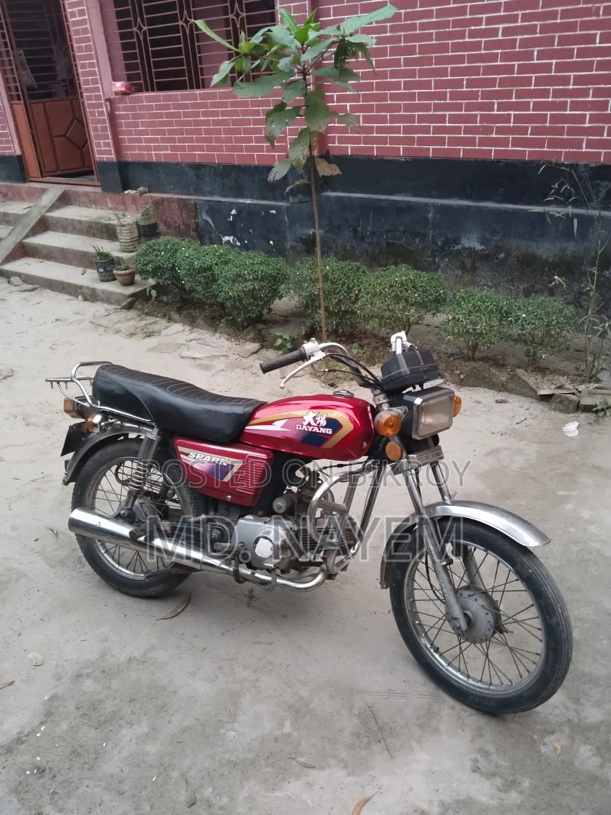 Dayang Runner DY100 2026