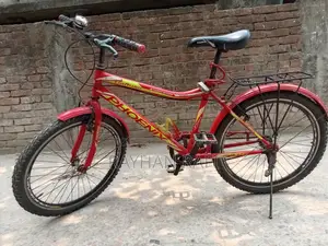 Phoenix Cycle