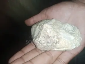 ৫ কোটি বছর আগে ফসিল বা লাইমস্টোন বিক্রি করা হবে