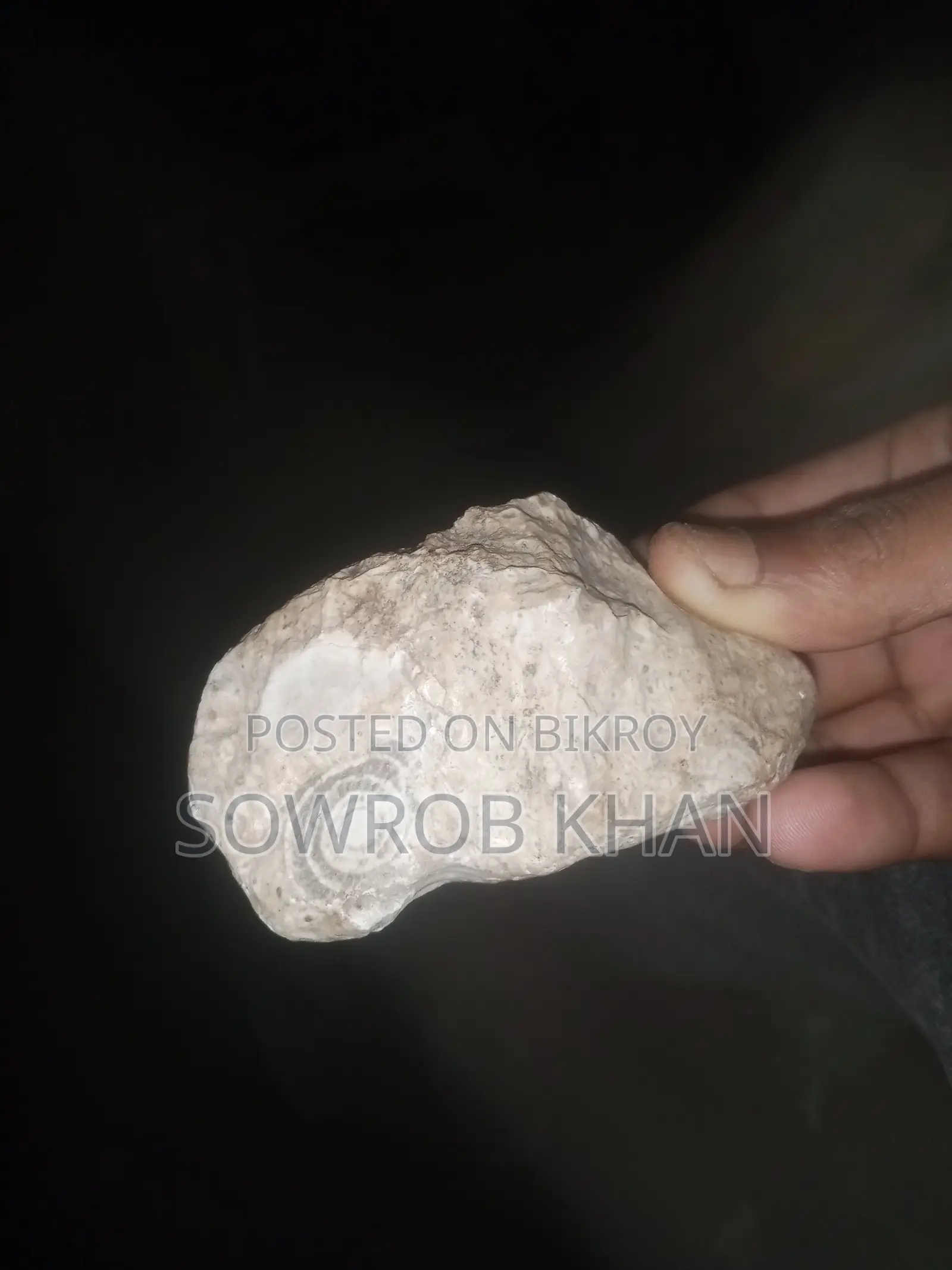 ৫ কোটি বছর আগে ফসিল বা লাইমস্টোন বিক্রি করা হবে