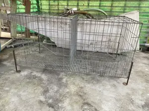 Pigeon Cage