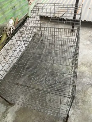 Pigeon Cage