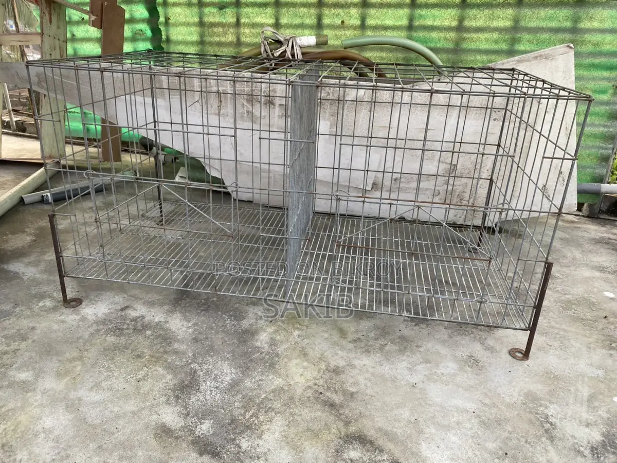 Pigeon Cage