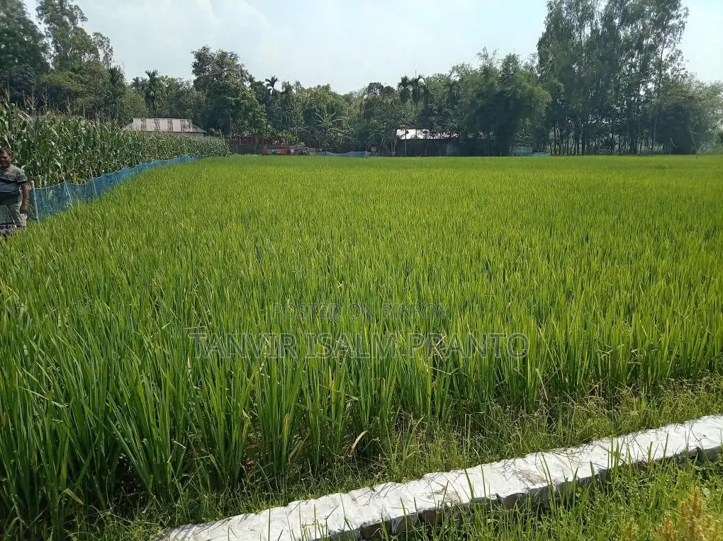 জরুরি জমি বিক্রি হবে