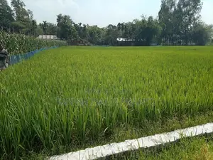 জরুরি জমি বিক্রি হবে