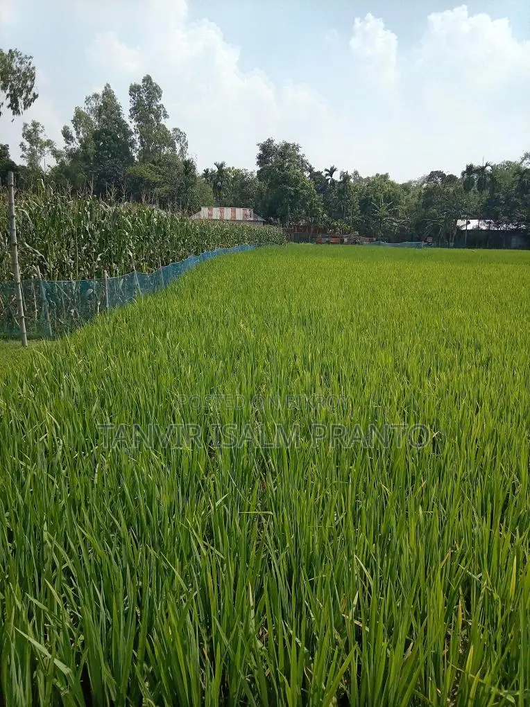 জরুরি জমি বিক্রি হবে