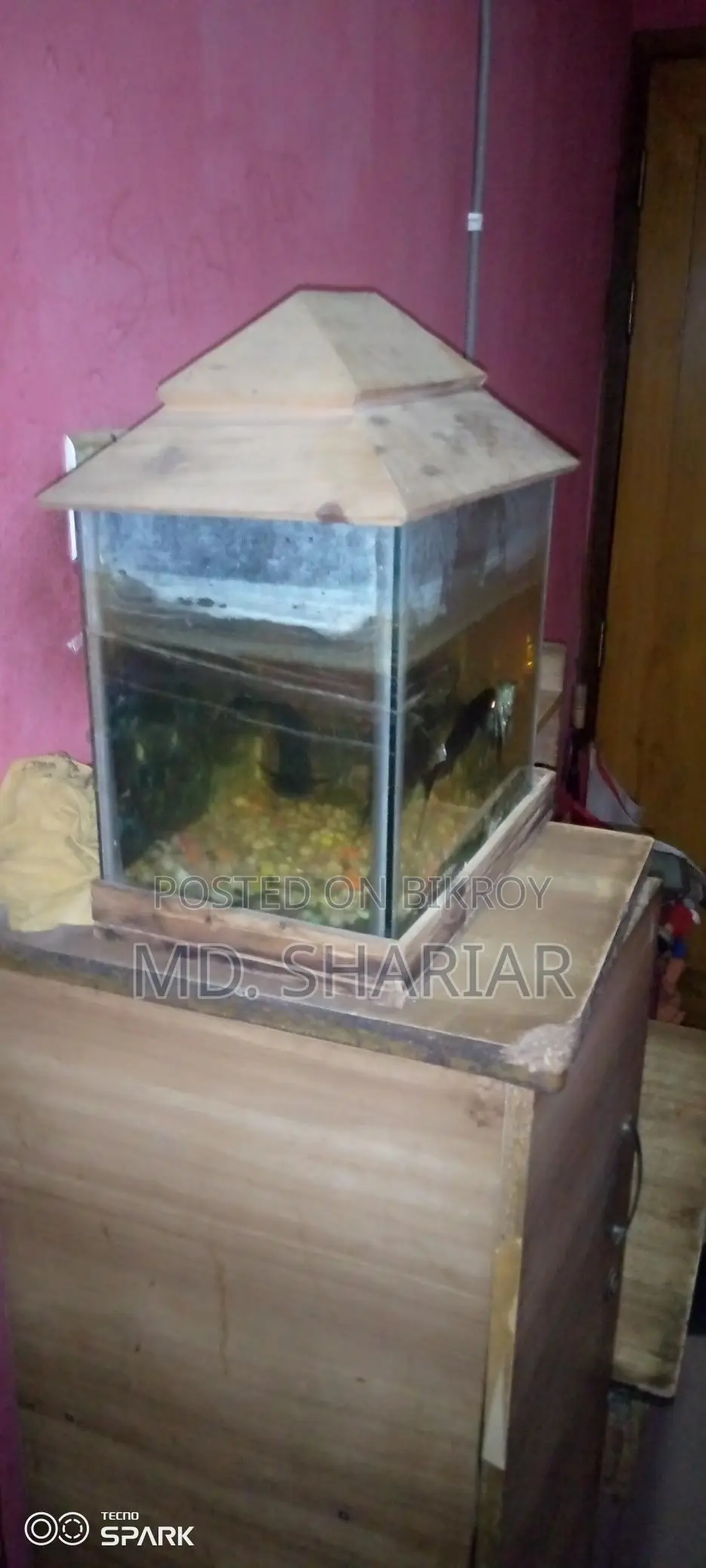 Aquarium with Fish and Oxygen Pump