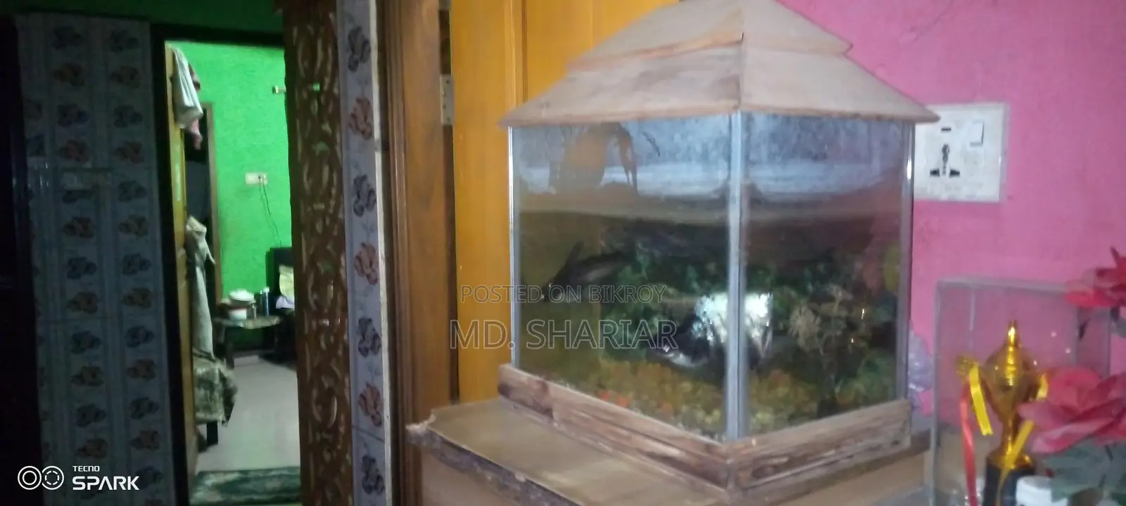 Aquarium with Fish and Oxygen Pump