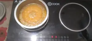 ইনডাকশন ডাবল চুলা