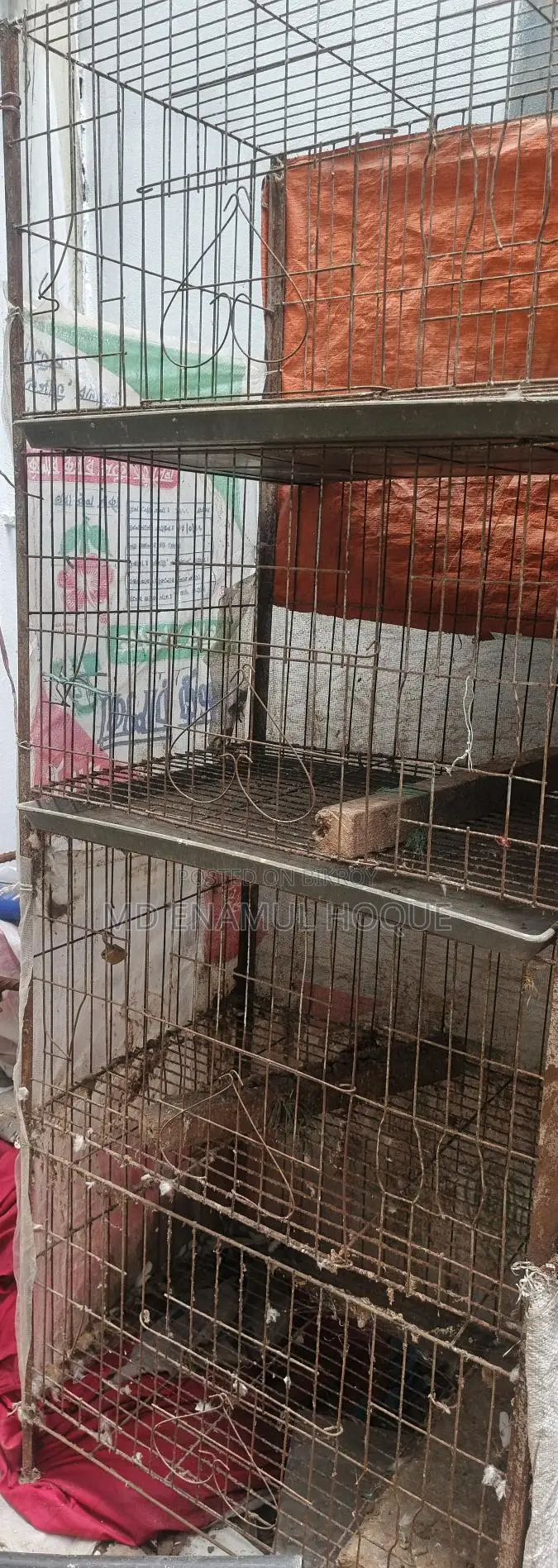 খাঁচা কবুতরের