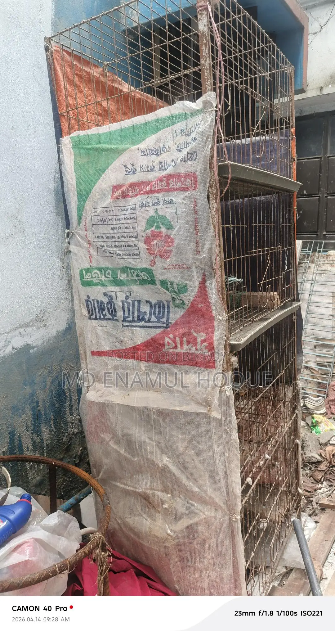 খাঁচা কবুতরের