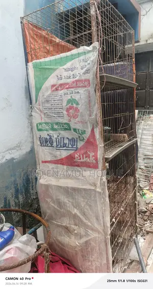 খাঁচা কবুতরের