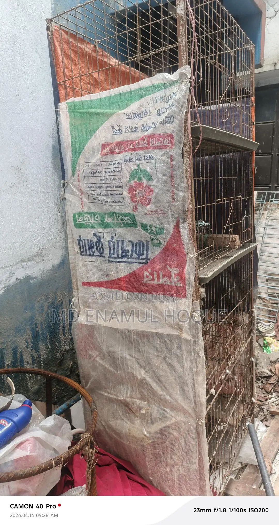 খাঁচা কবুতরের