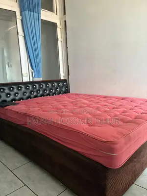 Foreign Double Bed with Spring Mattress