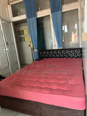 Foreign Double Bed with Spring Mattress