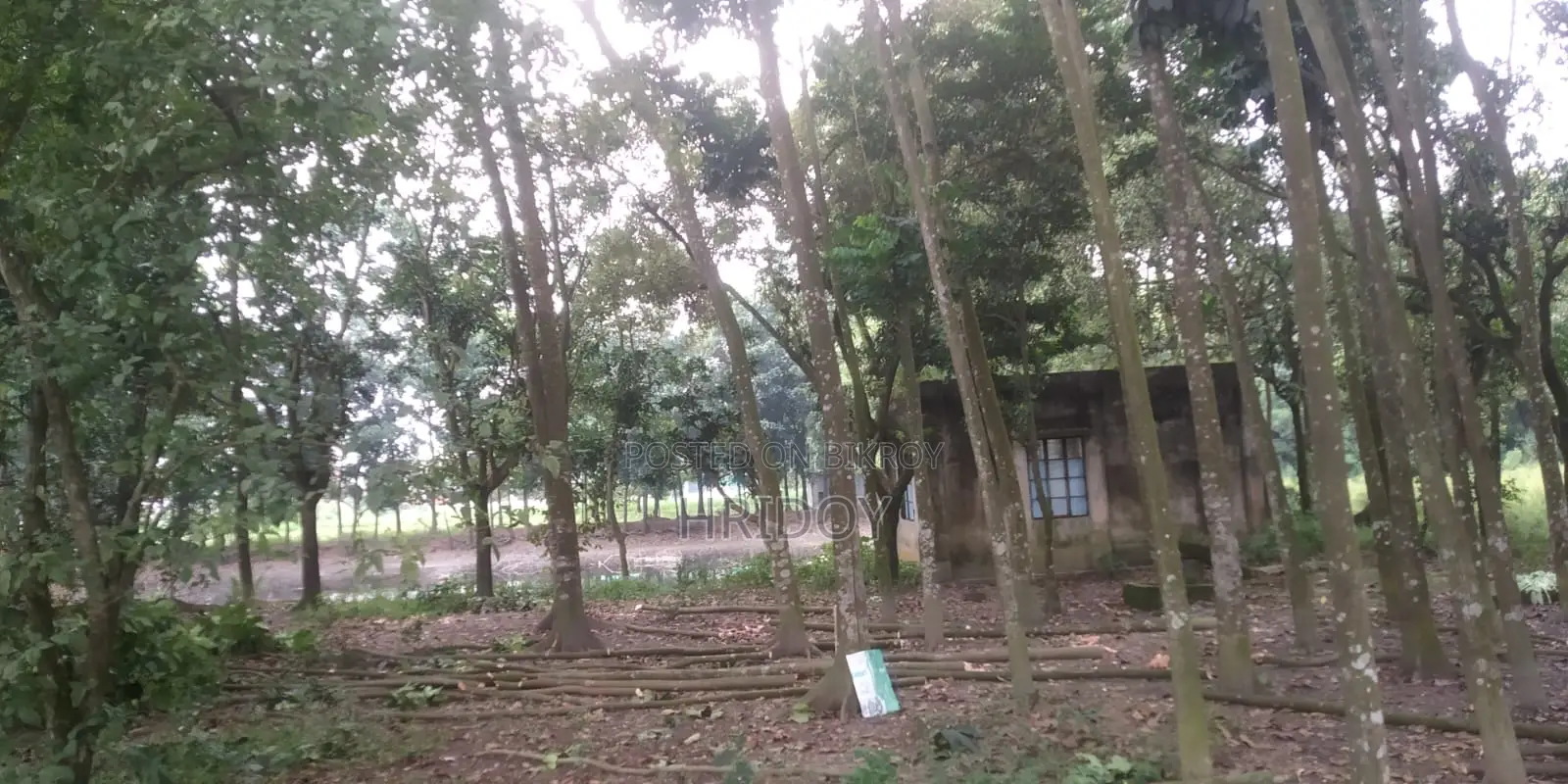 Pond with land for sale behind Gazipur Sub-Registrar Office