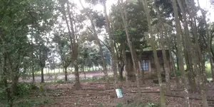 Pond with land for sale behind Gazipur Sub-Registrar Office