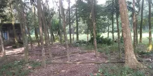 Pond with land for sale behind Gazipur Sub-Registrar Office