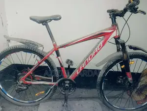 Bicycle for sale
