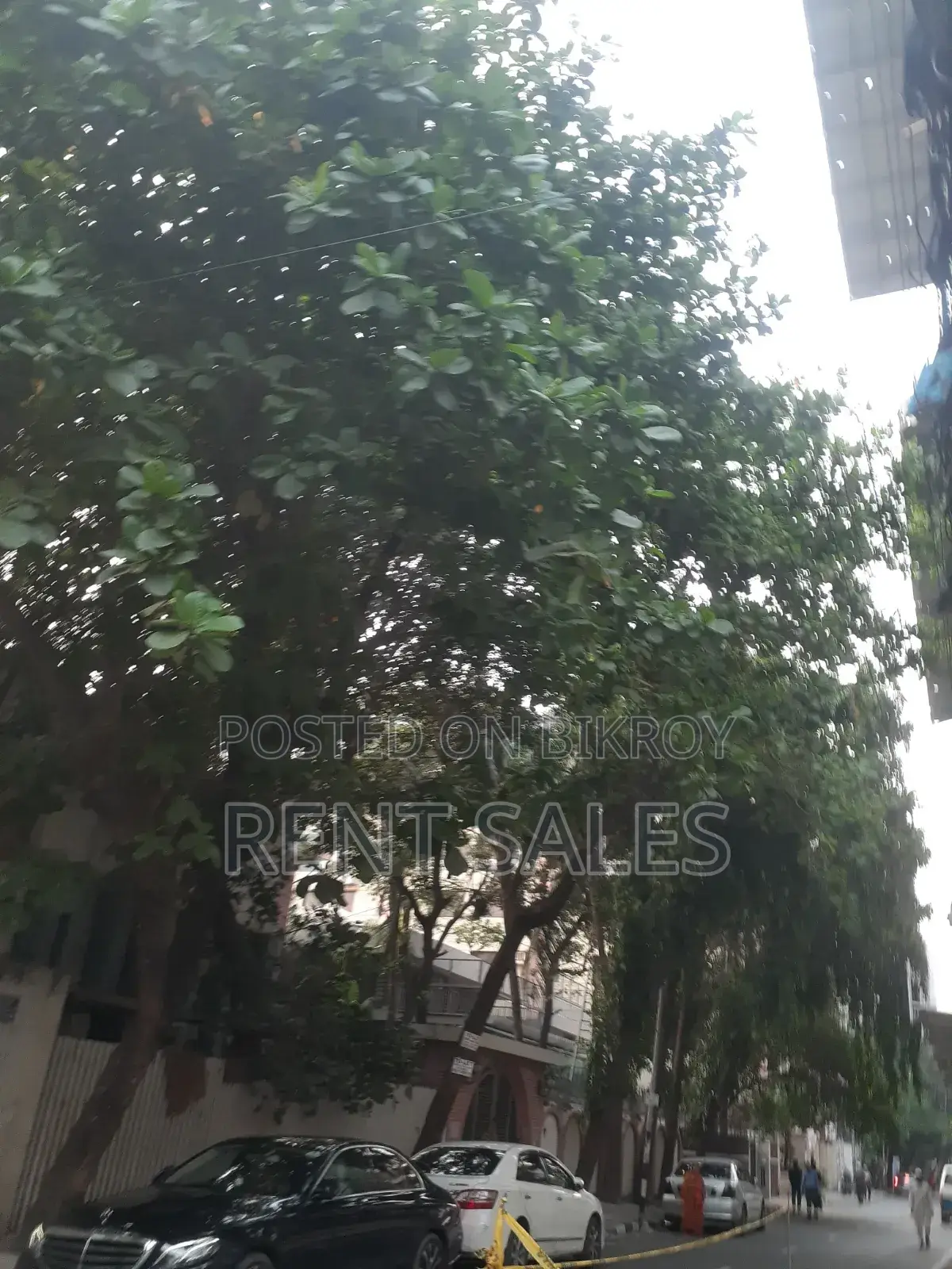 বনানীতে ৮ বেডরুমের বাড়ি ভাড়ার জন্য