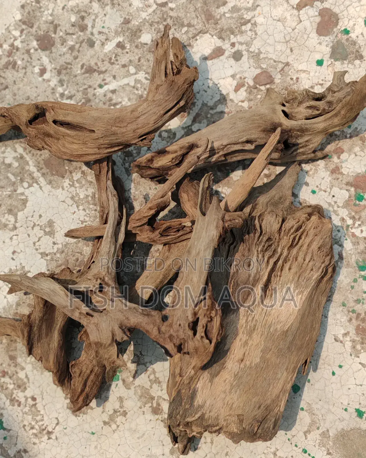 Natural Drift Wood