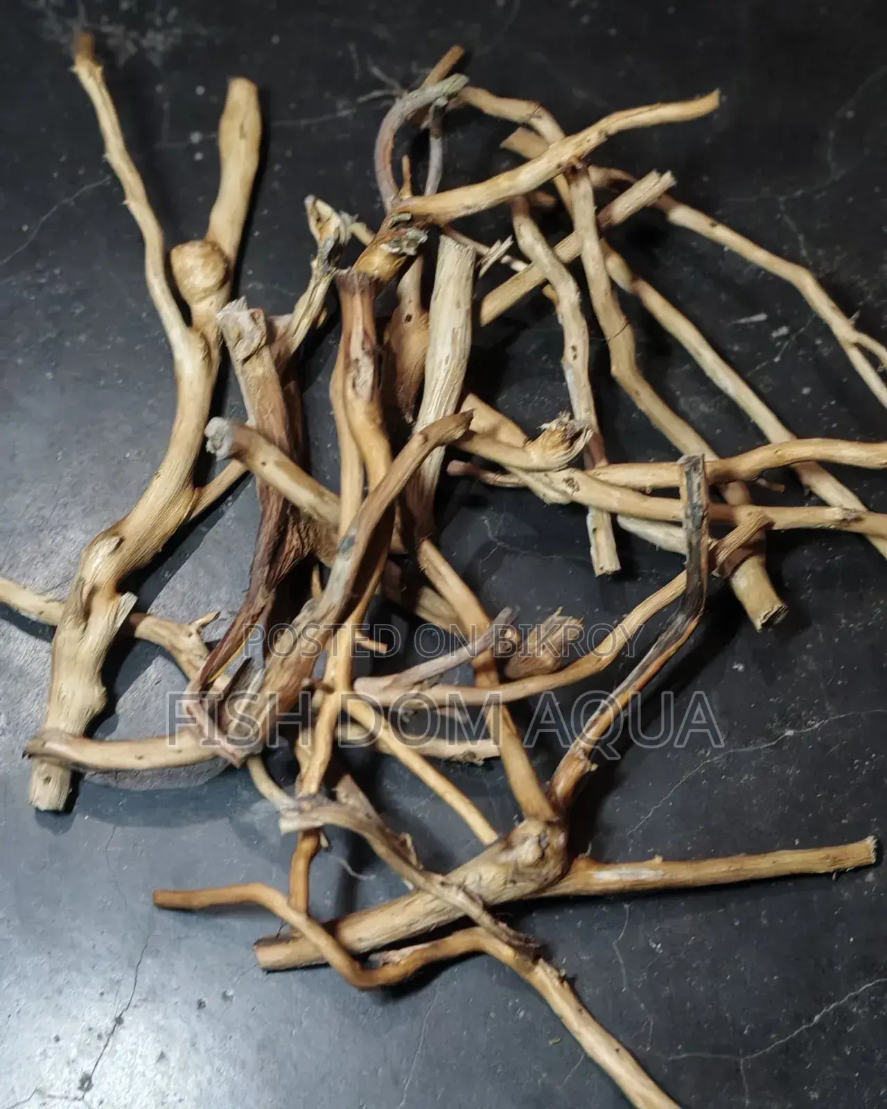 Natural Drift Wood