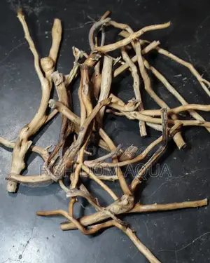 Natural Drift Wood