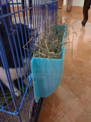 Rabbits Hay Rack