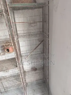 পাখির খাঁচা